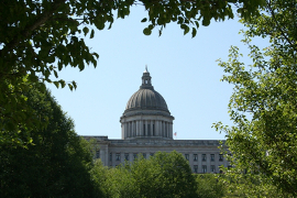 Capitol x180
